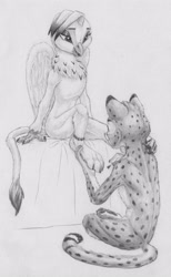 Size: 2660x4329 | Tagged: safe, artist:joestick, imported from derpibooru, oc, oc only, anthro, cheetah, digitigrade anthro, griffon, ankle bracelet, anklet, female, furry, male, monochrome, nail polish, sitting on bed, traditional art, wings