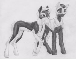 Size: 3995x3137 | Tagged: safe, artist:joestick, imported from derpibooru, oc, oc only, oc:arcalia, oc:kass, earth pony, pony, brother and sister, coat markings, earth pony oc, female, high res, male, monochrome, pencil drawing, siblings, socks (coat markings), traditional art