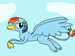 Size: 1000x750 | Tagged: safe, artist:blazewing, imported from derpibooru, rainbow dash, griffon, atg 2021, cloud, drawpile, female, flying, griffonized, newbie artist training grounds, rainbow griffon, sky, smiling, solo, species swap