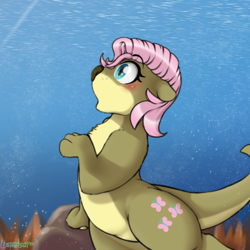 Size: 1000x1000 | Tagged: safe, artist:llametsul, imported from derpibooru, fluttershy, otter, pony, atg 2021, blushing, chest fluff, cutie mark, female, newbie artist training grounds, open mouth, paws, signature, solo, species swap, underwater