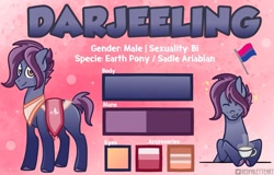 Size: 1119x714 | Tagged: safe, artist:redpalette, imported from derpibooru, oc, oc:darjeeling, saddle arabian, bisexual pride flag, bust, commission, cute, male, pride, pride flag, reference sheet, stallion