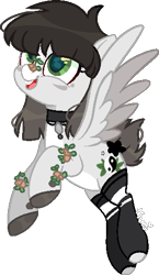 Size: 295x507 | Tagged: safe, artist:kurosawakuro, imported from derpibooru, oc, oc only, oc:panda (broken-boulevard), pegasus, pony, base used, clothes, female, mare, simple background, socks, solo, transparent background