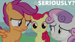 Size: 1280x720 | Tagged: safe, edit, edited screencap, editor:quoterific, imported from derpibooru, screencap, apple bloom, scootaloo, sweetie belle, earth pony, pegasus, pony, unicorn, one bad apple, season 3, apple bloom's bow, bow, cutie mark crusaders, female, filly, hair bow, seriously