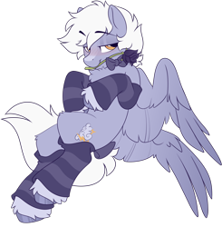 Size: 1970x2011 | Tagged: safe, artist:crimmharmony, imported from derpibooru, oc, oc only, oc:nimbus bolt, pegasus, pony, blushing, bow, bowtie, chest fluff, clothes, coat markings, eyebrows, eyebrows visible through hair, flower, flower in mouth, flying, lidded eyes, looking at you, male, mouth hold, rose, simple background, socks, solo, spread wings, stallion, striped socks, tail bow, transparent background, unshorn fetlocks, wings