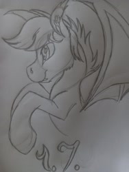 Size: 1536x2048 | Tagged: safe, artist:silbernepegasus, imported from derpibooru, oc, oc only, oc:guttatus, bat pony, pony, sketch, solo, traditional art