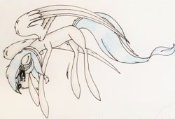 Size: 2317x1576 | Tagged: safe, artist:beamybutt, imported from derpibooru, oc, oc only, pegasus, pony, female, mare, pegasus oc, signature, traditional art, wings