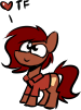 Size: 75x101 | Tagged: safe, artist:acesential, artist:tf-sential, imported from ponybooru, oc, oc only, oc:penny, earth pony, pony, clothes, female, heart, looking up, mare, picture for breezies, simple background, smiling, solo, text, transparent background