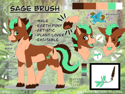 Size: 2732x2048 | Tagged: safe, artist:sursiq, imported from derpibooru, oc, oc only, oc:carbon, oc:sagebrush, earth pony, pony, closed mouth, cute, cutie mark, earth pony oc, eyes closed, eyes open, frog (hoof), green eyes, high res, male, multicolored hair, multicolored mane, multicolored tail, oc x oc, open mouth, pony oc, reference sheet, shipping, standing, underhoof, watermark, wings