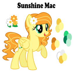 Size: 2456x2442 | Tagged: safe, artist:sunsetsparkle129, imported from derpibooru, oc, oc only, oc:sunshine mac, pegasus, pony, female, flower, flower in hair, high res, mare, offspring, parent:big macintosh, parent:fluttershy, parents:fluttermac, reference sheet, simple background, solo, white background
