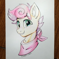 Size: 2000x2000 | Tagged: safe, artist:confetticakez, imported from derpibooru, oc, oc only, oc:wallparty, pony, bandana, blushing, bust, ear fluff, high res, looking at you, portrait, smiling, smiling at you, solo, traditional art