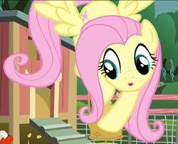 Size: 645x522 | Tagged: safe, imported from derpibooru, screencap, fluttershy, pegasus, pony, filli vanilli, season 4, cropped, flying, solo