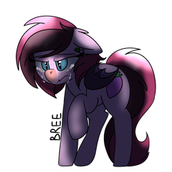 Size: 6000x6000 | Tagged: safe, artist:breebree, imported from derpibooru, oc, oc:bree berry, bat pony, pony, crying, depressed, female, mare, sad, simple background, transparent background, vent art