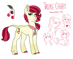 Size: 2350x1889 | Tagged: safe, artist:moccabliss, imported from derpibooru, oc, oc only, oc:triple cherry, earth pony, pony, female, leonine tail, mare, offspring, parent:cherry jubilee, parent:flim, solo