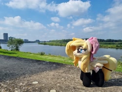 Size: 4032x3024 | Tagged: safe, artist:xeto_de, imported from derpibooru, oc, oc:wingblossom, irl, netherlands, photo, plushie