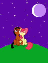Size: 2000x2600 | Tagged: safe, imported from derpibooru, apple bloom, oc, oc:ladainian otis, earth pony, canon x oc, colt, female, filly, high res, holding hoof, ladainianbloom, looking at the sky, love, male, shipping, smiling, straight