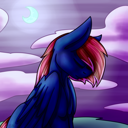 Size: 1500x1500 | Tagged: safe, artist:jane-ander, artist:janeander, imported from derpibooru, oc, oc only, oc:snap roll, pegasus, pony, commission, female, mare, moon, night, solo, ych result