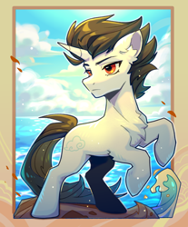 Size: 1450x1750 | Tagged: safe, artist:九枭, imported from derpibooru, oc, oc only, oc:凌宇, pony, unicorn, chest fluff, cloud, male, ocean, solo, solo focus, wave