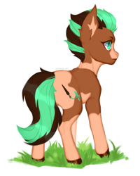 Size: 1408x1764 | Tagged: safe, artist:sannoe, imported from derpibooru, oc, oc only, oc:sage brush, oc:sagebrush, earth pony, pony, butt, coat markings, commission, cutie mark, earth pony oc, full body, grass, green eyes, hooves, looking away, male, multicolored hair, multicolored mane, multicolored tail, pinto, plot, pony oc, shading, simple background, solo, spots, stallion, standing, white background, ych result