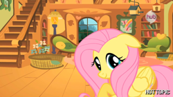 Size: 1280x720 | Tagged: safe, imported from derpibooru, fluttershy, pony, cute, floppy ears, fluttershy's cottage, hot minute, hot topic, hub logo, hub network, interview, looking at you, shy, shyabetes, solo