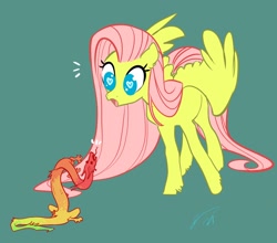 Size: 2104x1850 | Tagged: safe, artist:opalacorn, imported from derpibooru, fluttershy, draconequus, pegasus, pony, amazed, duo, emanata, female, forked tongue, heart eyes, looking at each other, looking at someone, looking down, mare, meeting, no pupils, open mouth, simple background, size difference, spread wings, standing, teal background, three quarter view, unshorn fetlocks, wingding eyes, wings