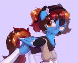 Size: 4096x3306 | Tagged: safe, artist:_mpiesocks, artist:raily, imported from derpibooru, oc, oc only, pegasus, pony, solo