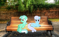 Size: 2495x1572 | Tagged: safe, artist:dashiesparkle edit, artist:mlplover94, artist:stinkehund, edit, imported from derpibooru, vector edit, linky, lyra heartstrings, shoeshine, earth pony, pony, unicorn, bench, duo, female, irl, mare, meme, photo, ponies in real life, sitting, sitting lyra, vector