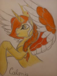 Size: 1536x2048 | Tagged: safe, artist:silbernepegasus, imported from derpibooru, oc, oc only, oc:colonia, alicorn, pony, brony, colonia, solo, traditional art