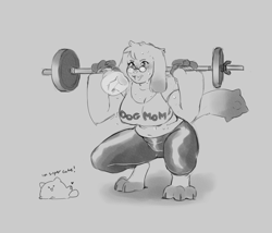 Size: 2104x1798 | Tagged: safe, artist:cosmicminerals, imported from derpibooru, oc, oc only, oc:chalk, cat, diamond dog, breath, clothes, dialogue, female, female diamond dog, glasses, pants, shirt, simple background, smiling, sports bra, sweat, weight lifting, weights, white background, yoga pants