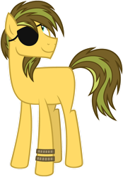 Size: 1024x1472 | Tagged: safe, artist:pegasski, imported from derpibooru, oc, oc only, oc:patch, earth pony, pony, base used, eyepatch, male, simple background, solo, stallion, transparent background