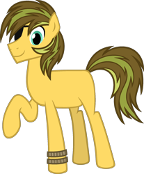 Size: 1556x1877 | Tagged: safe, artist:pegasski, imported from derpibooru, oc, oc only, oc:patch, earth pony, pony, base used, eyepatch, male, simple background, solo, stallion, transparent background