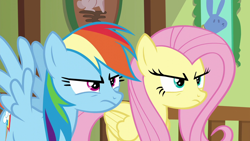 Size: 1280x720 | Tagged: safe, imported from derpibooru, screencap, fluttershy, rainbow dash, pegasus, pony, flutter brutter, season 6, angry, duo, duo female, female, fluttershy is not amused, fluttershy's cottage, frown, mare, rainbow dash is not amused, spread wings, unamused, wings