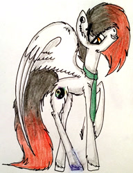 Size: 1946x2539 | Tagged: safe, artist:beamybutt, imported from derpibooru, oc, oc only, pegasus, pony, ear piercing, grin, male, necktie, pegasus oc, piercing, raised hoof, signature, smiling, solo, stallion, traditional art, unshorn fetlocks, wings
