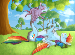 Size: 6824x4982 | Tagged: safe, artist:bluet0ast, imported from derpibooru, rainbow dash, oc, oc:cyclone, pegasus, pony, butt fluff, chest fluff, cloud, colored wings, colt, duo, eyes closed, female, male, mare, mother and child, mother and son, multicolored wings, offspring, outdoors, parent:oc:tornado, parent:rainbow dash, parents:canon x oc, pegasus oc, rainbow wings, smiling, tree, wings