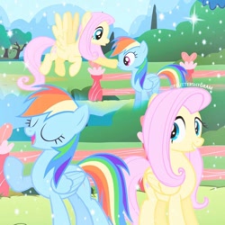 Size: 1080x1080 | Tagged: safe, edit, edited screencap, editor:fluttershygram, imported from derpibooru, screencap, fluttershy, rainbow dash, pegasus, pony, may the best pet win, season 2, boop, cute, dashabetes, eyes closed, female, find a pet, flying, mare, noseboop, open mouth, shyabetes, singing, smiling