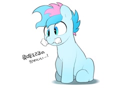 Size: 1024x722 | Tagged: safe, artist:mochi_nation, imported from derpibooru, oc, oc only, oc:blue chewings, earth pony, pony, chew toy, dog toy, female, japanese, male, mare, mouth hold, simple background, solo, white background