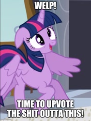 Size: 500x665 | Tagged: safe, edit, edited screencap, imported from derpibooru, screencap, twilight sparkle, alicorn, pony, princess spike (episode), cropped, derp, female, floppy ears, mare, meme, reaction image, solo, twilight sparkle (alicorn), vulgar