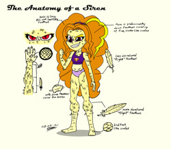 Size: 1024x894 | Tagged: safe, artist:tmntsam, imported from derpibooru, adagio dazzle, equestria girls, alternate universe, anatomy, clothes, feather, furry human, panties, purple underwear, scales, slit pupils, solo, underwear