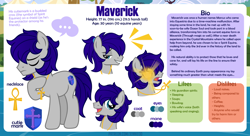 Size: 1200x655 | Tagged: safe, artist:jennieoo, imported from derpibooru, oc, oc only, oc:maverick, earth pony, pony, bio, male, man, ponytail, reference, reference sheet, show accurate, simple background, smiling, smug, solo, stallion, vector