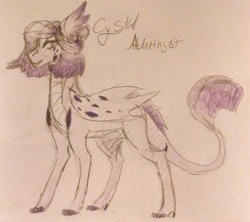 Size: 2018x1791 | Tagged: safe, artist:blairsinith313, imported from derpibooru, oc, oc only, oc:crystal amethyst, dracony, dragon, hybrid, pony, claws, ear fins, female, interspecies offspring, offspring, parent:rarity, parent:spike, parents:sparity, solo, traditional art, wings