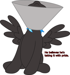 Size: 3619x3849 | Tagged: safe, artist:waveywaves, imported from derpibooru, oc, oc only, oc:nimbus, pegasus, pony, elizabethan collar, high res, simple background, solo, spread wings, text, transparent background, wings