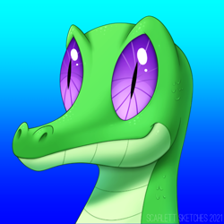 Size: 846x846 | Tagged: safe, artist:scarlet-spectrum, artist:scarlett-letter, artist:scarlett-sketches, imported from derpibooru, gummy, alligator, reptile, bust, gradient background, male, portrait, solo