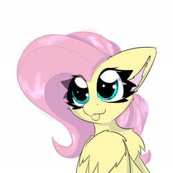 Size: 2362x2362 | Tagged: safe, artist:jubyskylines, imported from derpibooru, fluttershy, pegasus, pony, :p, bust, cheek fluff, chest fluff, cute, daaaaaaaaaaaw, ear fluff, female, high res, mare, shyabetes, simple background, solo, tongue out, white background