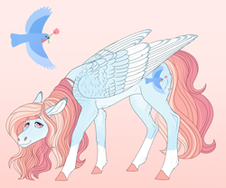 Size: 2880x2400 | Tagged: safe, artist:bluet0ast, imported from derpibooru, oc, oc only, oc:gentle breeze, bird, pegasus, pony, colored hooves, flower, flower in hair, high res, magical lesbian spawn, male, offspring, orange background, parent:fluttershy, parent:rainbow dash, parents:flutterdash, pegasus oc, simple background, solo, stallion, wings