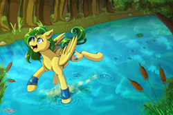 Size: 3000x2000 | Tagged: safe, artist:littletigressda, imported from derpibooru, oc, oc only, oc:downpour, pegasus, pony, high res, solo, walking on water