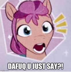 Size: 500x507 | Tagged: safe, edit, imported from derpibooru, sunny starscout, earth pony, pony, caption, dafuq, faic, female, g5, mare, merchandise, reaction image, solo, text, vulgar