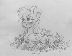 Size: 1280x994 | Tagged: safe, artist:bloodymrr, imported from derpibooru, oc, oc only, pegasus, pony, commission, cute, grass, lying down, solo, traditional art
