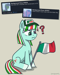 Size: 1500x1856 | Tagged: safe, artist:catachromatic, imported from derpibooru, oc, oc only, oc:candy canter, earth pony, pony, derpibooru, coat markings, confused, derpibooru screenshot, earth pony oc, facial markings, flag, heterochromia, italian flag, meta, mountain dew, question mark, simple background, sitting, socks (coat markings), solo, star (coat marking), tan background, trucker hat