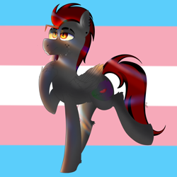 Size: 4000x4000 | Tagged: safe, artist:dicemarensfw, imported from derpibooru, oc, oc only, oc:dicemare, pegasus, pony, crying, fangs, freckles, happy, hoof on chest, lighting, looking up, male, piercing, pride, pride flag, solo, stallion, trans male, transgender, transgender pride flag, wings