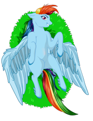 Size: 762x992 | Tagged: safe, artist:byemyfriends, artist:schokocream, imported from derpibooru, rainbow dash, pegasus, pony, female, grin, lying down, mare, on back, simple background, smiling, solo, transparent background, wings