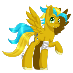 Size: 2323x2317 | Tagged: safe, artist:inspiredpixels, imported from derpibooru, oc, oc only, pegasus, pony, bandage, high res, male, raised hoof, signature, simple background, solo, spread wings, stallion, standing, transparent background, unshorn fetlocks, wings